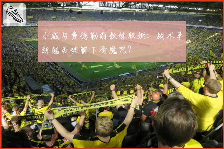 小威与费德勒前教练联姻:战术革新能否破解下滑魔咒?