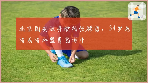 北京国安放弃续约张稀哲，34岁老将或将加盟青岛海牛
